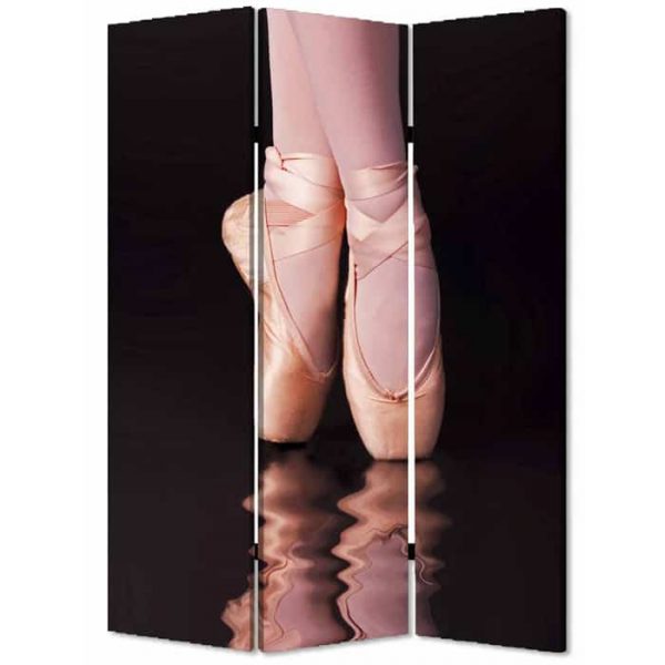 48" X 72" Multi-Color Wood Canvas Ballet Screen