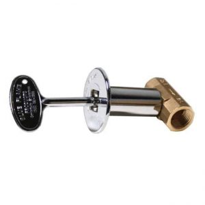 Canterbury 0.5 in. Polished Chrome Angled Gas Valve