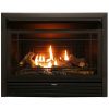 Charlton Home Hardwick Dual Fuel Fireplace Insert 2
