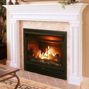 Charlton Home Hardwick Dual Fuel Fireplace Insert