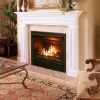 Duluth Forge Dual Fuel Ventless Fireplace Insert - 26,000 BTU, T-Stat Control 4