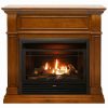 Duluth Forge Dual Fuel Ventless Gas Fireplace - 26