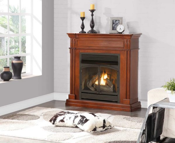 Duluth Forge Propane/Natural Gas Fireplace 3