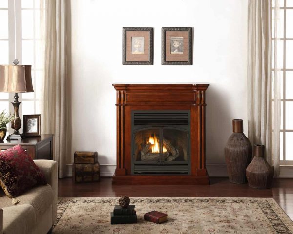 Duluth Forge Propane/Natural Gas Fireplace 6