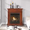 Duluth Forge Propane/Natural Gas Fireplace 18