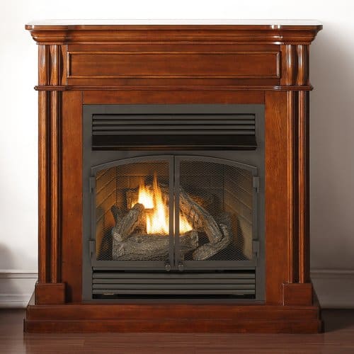 Duluth Forge Propane/Natural Gas Fireplace