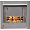 Duluth Forge Vent Free Stainless Outdoor Gas Fireplace Insert With Crystal Fire Glass Media - 24