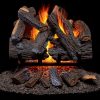 Duluth Forge Vented Natural Gas Fireplace Log Set 2
