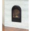 Duluth Forge Ventless Propane/Natural Gas Fireplace Insert