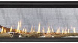 Echelon II 48'' Direct Vent See-Thru Gas Fireplace - Natural Gas