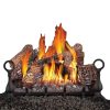 Fiberglow 24 Inch Vented Log Burner Set Insert for Natural Gas Fireplaces