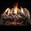 Heritage Char Vent Free 24" Gas Logs with Manual Valve - LP