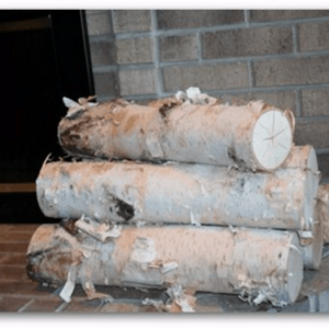 Large Fireplace White Birch Logs (5 logs) 18" long x 3-5" diameter