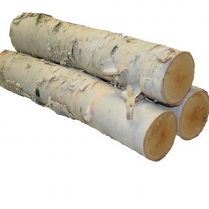 Large White Birch Logs