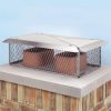 Lindemann 100879 17 Inches x 29 Inches Chimney Protector