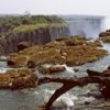 Log on the rocks at the top of the Victoria Falls with Victoria Falls Bridge in the background Zimbabwe Canvas Art - Panoramic Images (18 x 7)