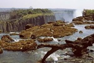 Log on the rocks at the top of the Victoria Falls with Victoria Falls Bridge in the background Zimbabwe Canvas Art - Panoramic Images (18 x 7)