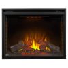 Napoleon Ascent 40 inch Built-in Electric Firebox Insert