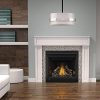 Napoleon B36TRE 18000 BTU Built-In Direct Vent Natural Gas Fireplace