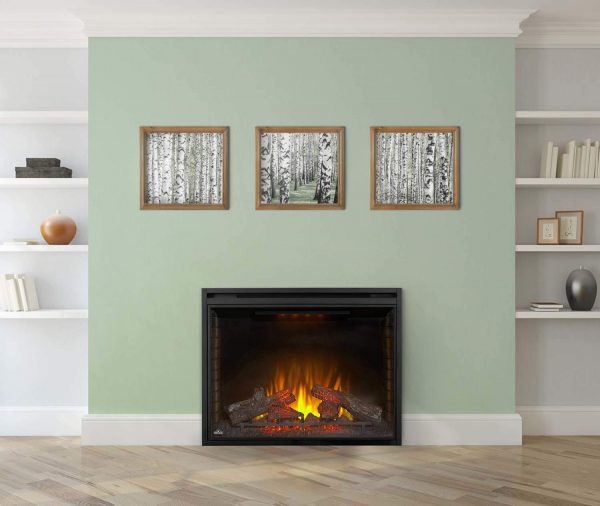 Napoleon NEFB40H Ascent Built-In Electric Fireplace, 40 Inch 4