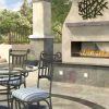 Napoleon See Through Linear Outdoor Gas Fireplace Insert 3