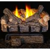 Peterson Real Fyre 24-inch Valley Oak Log Set With Vent-free Natural Gas Ansi Certified 20