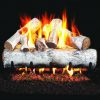 Peterson Real Fyre 24-inch White Birch Log Set With Vented Natural Gas G4 Burner - Match Light