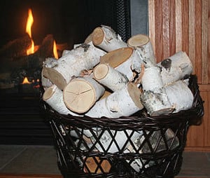 Pieces of White Birch Logs