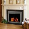 Pleasant Hearth Craton Cabinet Fireplace Screen and Smoked Glass Doors - Gunmetal