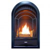 ProCom PCS150T Ventless 15K BTU Fireplace Insert - Dual Fuel 2