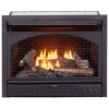 Procom Vent-Free Dual Fuel Fireplace Insert, Model FBNSD28T 7