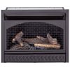 Procom Vent-Free Dual Fuel Fireplace Insert, Model FBNSD28T 8