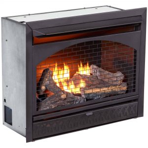Procom Vent-Free Dual Fuel Fireplace Insert