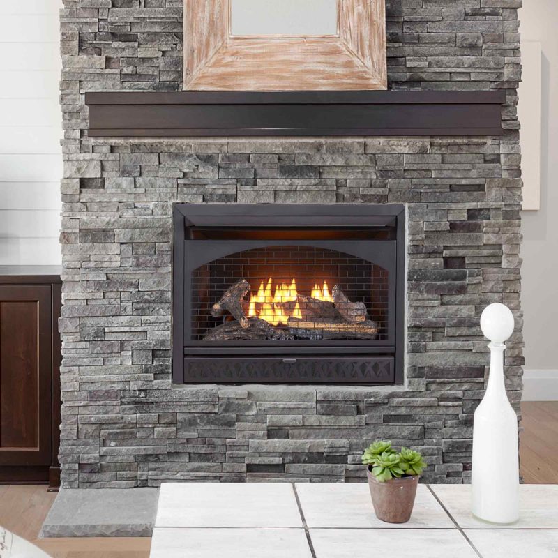 Procom Vent-Free Dual Fuel Fireplace Insert, Model FBNSD28T ...