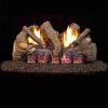 Products 24 in. G19A Series Foothill Oak Vent Free Log Set
