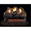 Products 30 in. G18 Series Evening Fyre Charred Vent Free Log Set