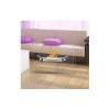 Regal Flame Bow Ventless Ethanol Fireplace