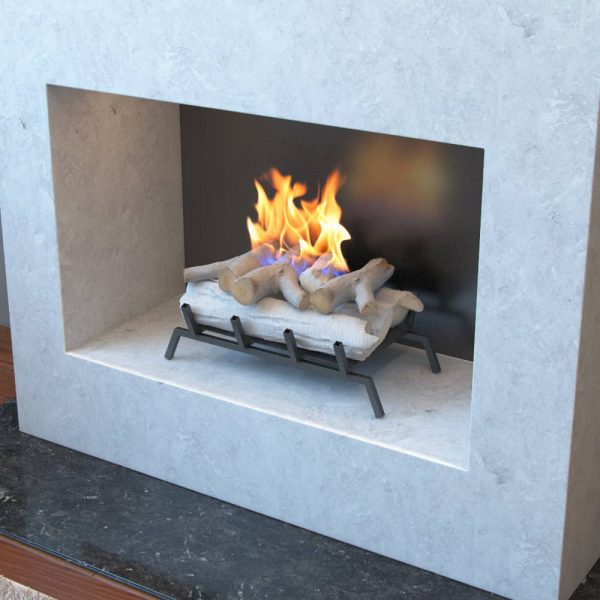 Regal Flame ECK2018BRC 18 in. Birch Convert to Ethanol Fireplace Log Set with Burner Insert From Gel or Gas Logs 1