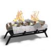 Regal Flame ECK2018BRC 18 in. Birch Convert to Ethanol Fireplace Log Set with Burner Insert From Gel or Gas Logs