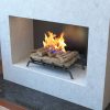 Regal Flame ECK2024WD 24 in. Convert to Ethanol Fireplace Log Set with Burner Insert From Gel or Gas Logs 4