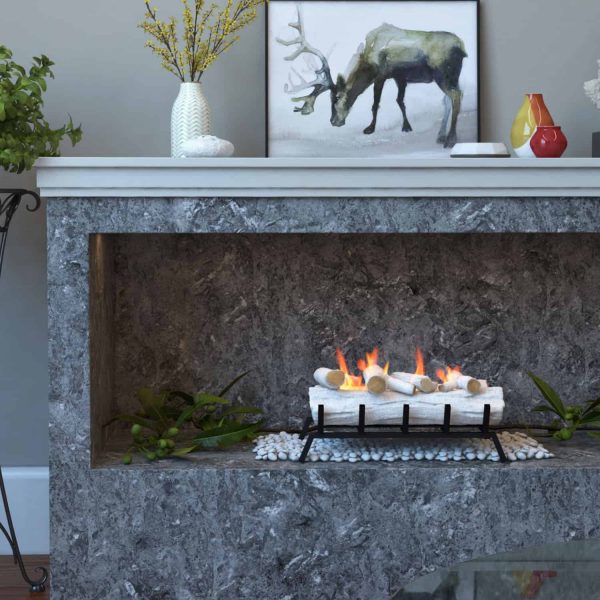 Regal Flame ECK20BRC24 24 in. Convert to Ethanol Fireplace Log Set with Burner Insert from Gel or Gas Logs, Birch - 24 x 10 x 15 in. 2