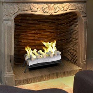 Regal Flame ECK20BRC24 24 in. Convert to Ethanol Fireplace Log Set with Burner Insert from Gel or Gas Logs