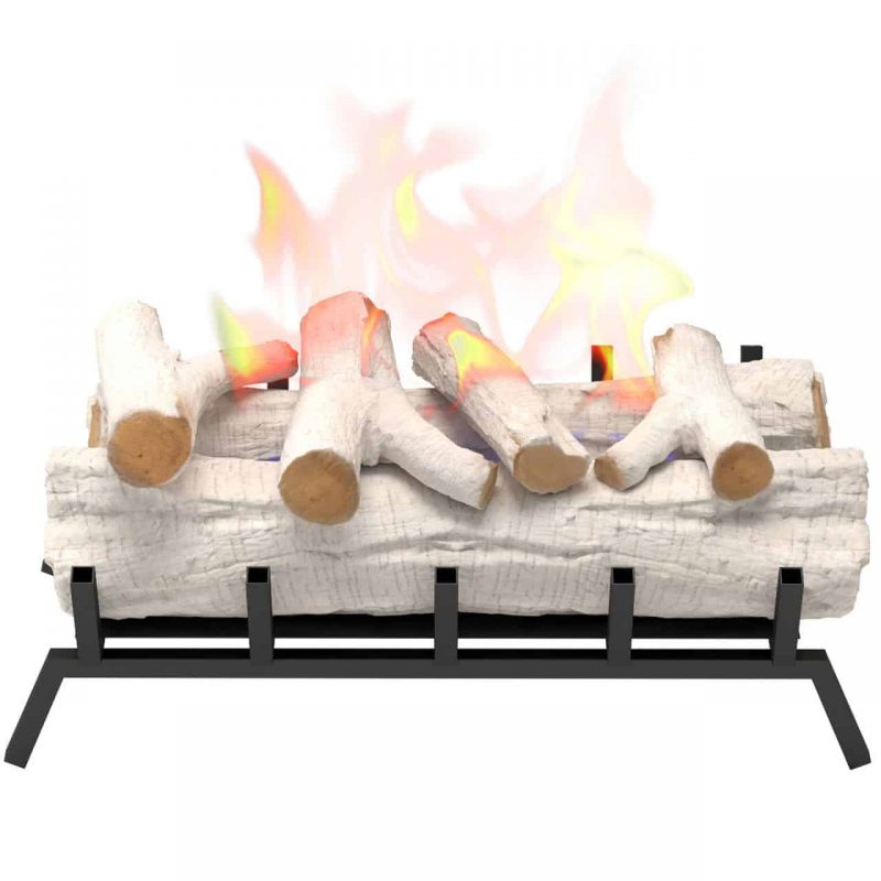 Regal Flame ECK20BRC24 24in Convert to Ethanol Fireplace Log Set - Birch