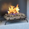 Regal Flame Ethanol Fireplace Log