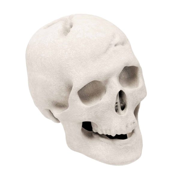 Regal Flame Human Skull Ceramic Wood Large Gas Fireplace Logs Logs for All Types of Gas Inserts