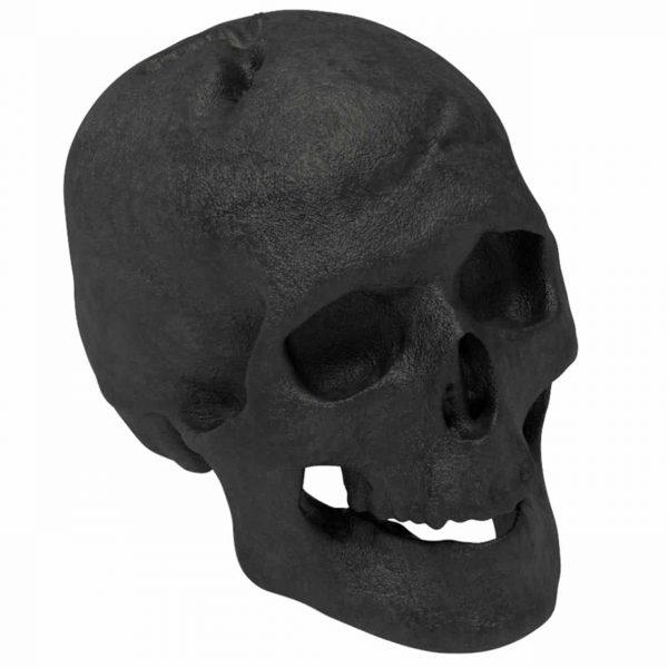 Regal Flame RFA6004 Human Skull Ceramic Wood Large Gas Fireplace Logs - Black