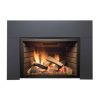 Sierra Flame ABBOT-30BL-DELUXE-LP 30 in. Abbott Insert Direct Vent Gas Fireplace - Deluxe with Logs - Liquid Propane