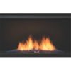 Sierra Flame PALISADE-36-LP 36 in. See-Thru Palisade Linear Direct Vent Gas Fireplace - Liquid Propane