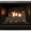 Tahoe Clean Face Direct Vent MV Deluxe 42" LP Fireplace with Blower