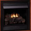 Vent-Free 24" NG Thermostat Control Fireplace